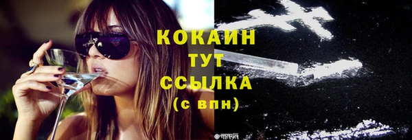 стаф Верхний Тагил