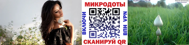Галлюциногенные грибы ЛСД  Ростов 